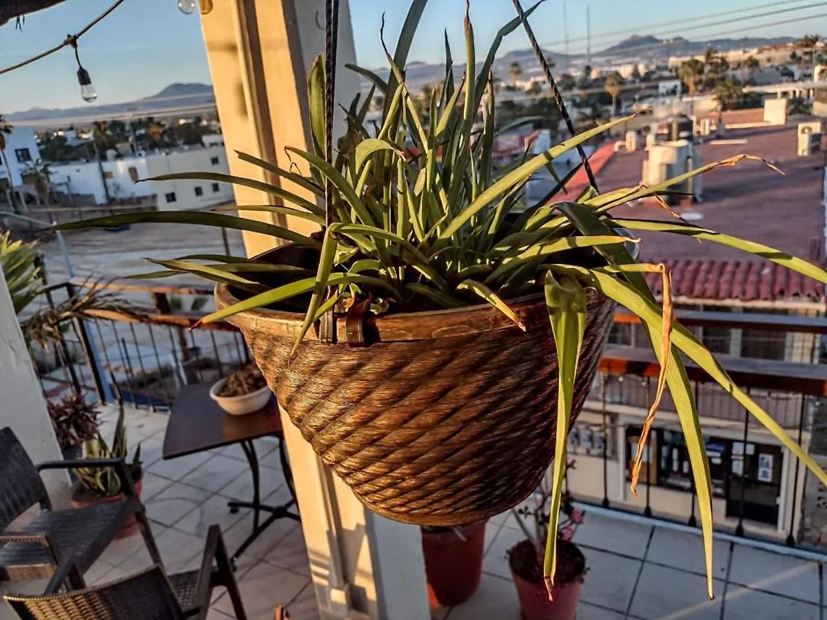 **  Bajalife Hotel Boutique Cabo San Lucas Mexico