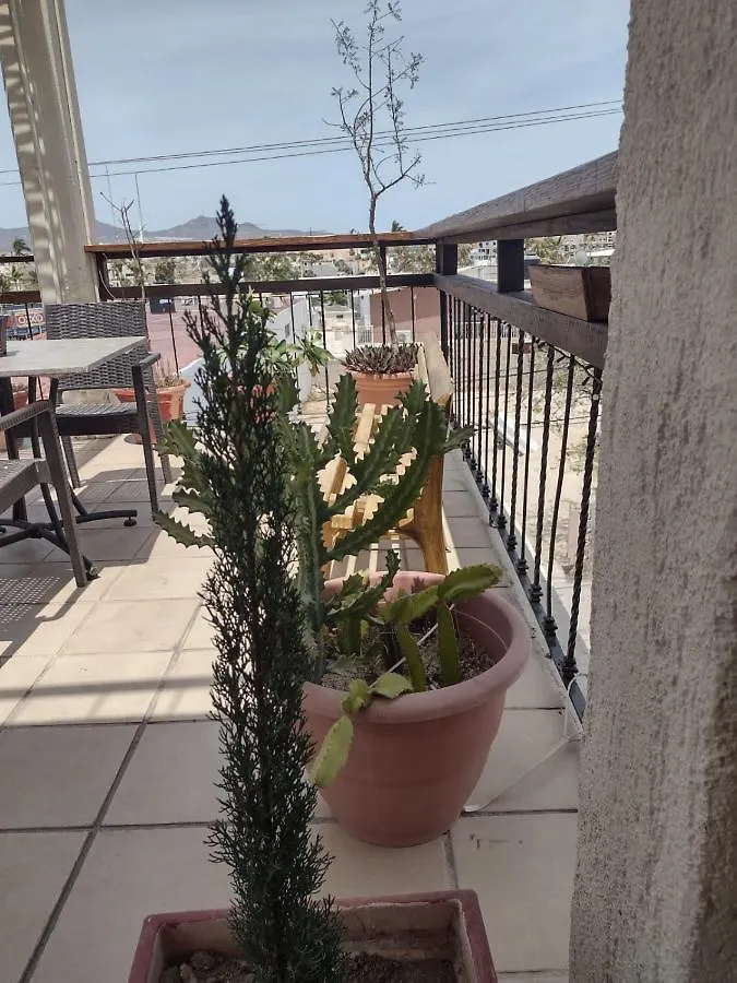 Bajalife Hotel Boutique Cabo San Lucas